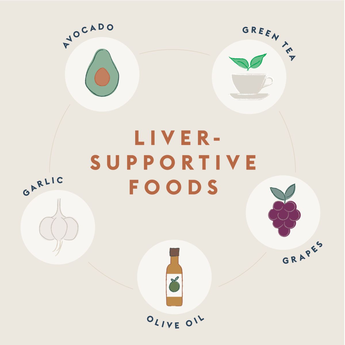 Liver-Supportive-Foods