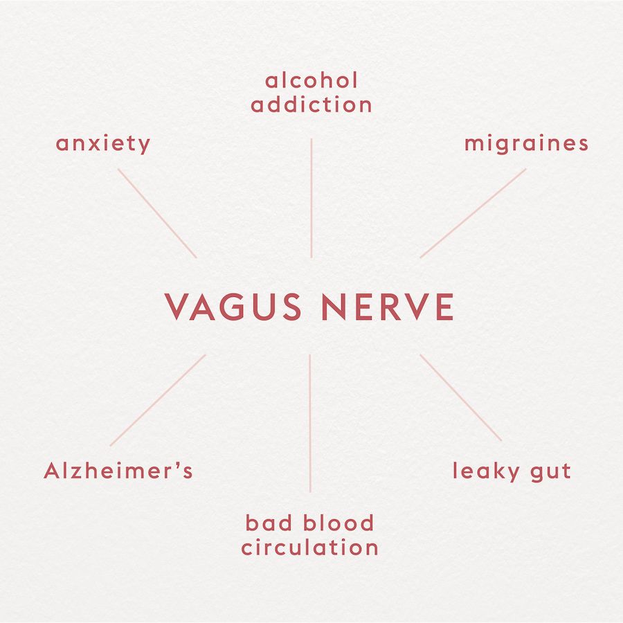 vagus nerve