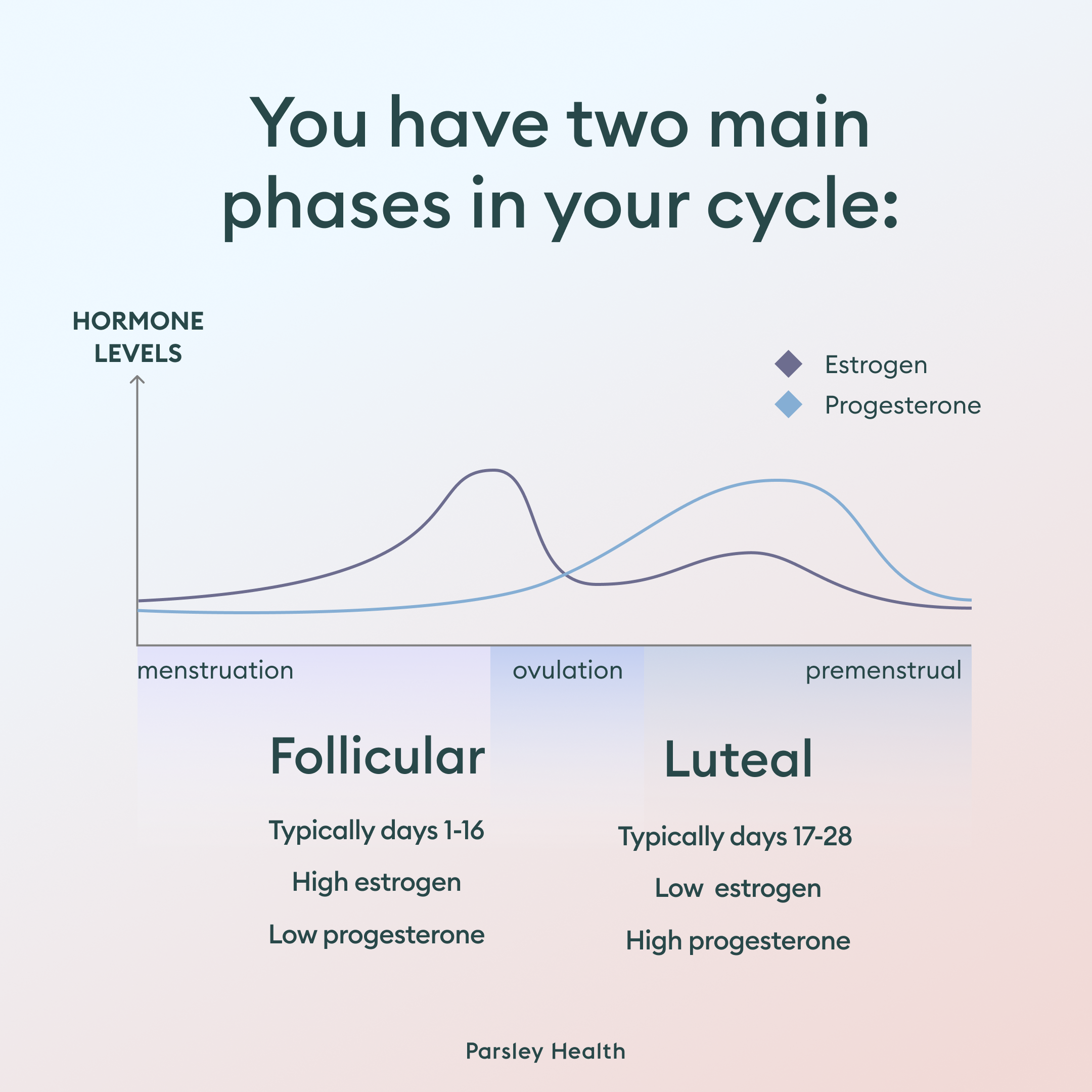 cycle phases