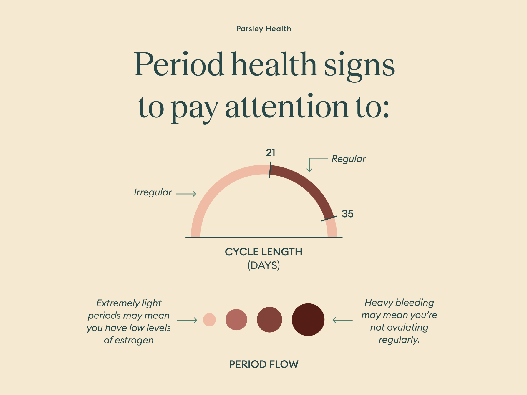 Menstrual cycle phases